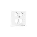 Zentralplatte TV + LAN/LAN 50x50mm rw HOMEWAY ZENTRALPLATTE TV+LAN
