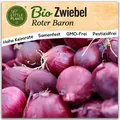 Zwiebel Samen Rot (BIO) - 150 Samen Gemüsesamen Zwiebelsamen Red Baron