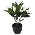 Kunstpflanze Magnolie weiß im einem braunen Topf Gesamthöhe 45cm