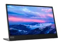 Original 66E4UAC1WL Lenovo L15 15.6" Mobiler FHD-Monitor IPS 