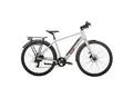 TELEFUNKEN UH200 E-Urban-Bike 28" aluminiumgrau