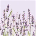Ambiente Servietten, 20 Stück, Lavendel", Lavender Shades lila, FSC-Mix, Lavendelblüten, Frühling, Ostern, Hochzeit, Serviettentechnik