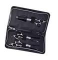 Olivia Garden SilkCut 3er-Set (5,0"/ 5,75" / 6,0" Effi) Scheren-Set Starter-Set