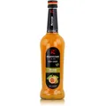 Riemerschmid Bar-Sirup Maracuja 0,7L - Cocktails Milchshakes (1er Pack)