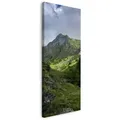 Leinwanddruck Natur Überwucherte Berge 40x120 cm
