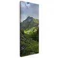 Leinwanddruck Natur Überwucherte Berge 40x120 Cm