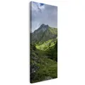 Leinwanddruck Natur Überwucherte Berge 40x120 cm