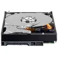 Western Digital WD20EURS AV-GP 2TB interne Festplatte (6,5 cm (3,5 Zoll), 5400rpm, 64MB Cache, SATA)