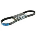 Antriebsriemen Polini Speed-Belt 800-18,8 Keilriemen für Honda Zoomer, Ruckus, M