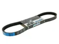 Keilriemen Polini Speed Belt 800-18,8 für Honda Zoomer, Ruckus, Metropolitan 50c