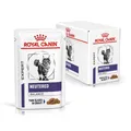Royal Canin Expert Neutered Balance 48x85 g | Katzen | kastriert