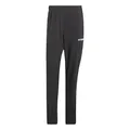 adidas Herren Terrex Multi Essentials Stretch Pants, Black, S