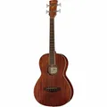 PNB14E-OPN Acoustic Bass