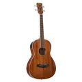 Ibanez PNB14E-OPN Open Pore Natural Akustik Bass