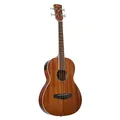 Ibanez PNB14E-OPN Open Pore Natural