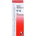 Dormi-Gastreu S R14 22 ML