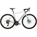 Kross Gravelbike KROSS Gravelbike Alta 2.0 28" silver 20 Gänge Gabel aus Carbon 2026, 18 Gang Shimano CUES U3020 Schaltwerk, Kettenschaltung, Carbon aus Gabel silberfarben 54 cm
