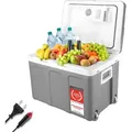 TZS First Austria - Kühlbox 45L elektrisch 12V 230V Anschluss für Auto & Steckdose - Thermoelektrisch - Grau - Grau
