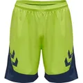 hummel Trainingsshorts Hummel Herren Short Lead Poly 207395 grün XXL