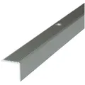 Dalsys Treppenkantenprofil Aluminium Bodenprofil für Treppenwinkel (100 cm, 42 x 20 mm, champagner, 1-St), Zum Schrauben goldfarben 4.2 cm x 100 cm x 2 cm