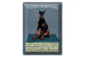 Blechschild Spruch 30x40 cm Dobermann Hund fast learn and Deko Schild