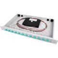 Telegärtner Spleissbox bestückt TNSB-Be-12LCAPC-OS2 (100021865)