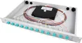 Telegärtner Spleißbox bestückt TNSB-Be-12LCAPC-OS2 grau LWL 100021865