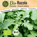 Little Plants BIO Rucola Samen 300 Rucolasamen Esmee Rukola Gemüsesamen für Gemüsegarten Samenfest Gemüse Samen für Küche, Balkon und Garten