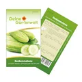 Melonengurke Gurkenmelone Carosello Barese Samen - Cucumis melo var. flexuosus - Gurkensamen - Melonensamen - Saatgut für 6 Pflanzen