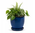 Teramico Pflanzkübel Pflanzgefäß Modell "EggPot" 38cm Keramik in Royal Blau mit Teller, 100% Frostfest