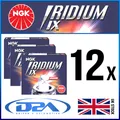 12x NGK DCPR8EIX (6546) IRIDIUM IX Zuendkerze