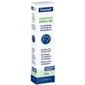 Canosept Zahnpasta F.hunde