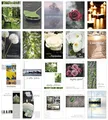 Edition Seidel Set 20 einfühlsame Trauerkarten/Beileidskarten mit Umschlag. Trauerkarte Beileidskarte mit Spruch schreiben (Doppelkarten/Klappkarten mit Briefumschlag)