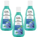 3x 250ml Guhl Anti- Schuppen Shampoo bei juckender Kopfhaut Blaue Malve mit Zink