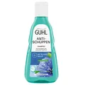 250ml Guhl Anti- Schuppen Shampoo bei juckender Kopfhaut Blaue Malve mit Zink