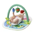Palestrina delle Attività 3 in 1 Chicco