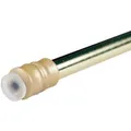 Bestlivings Klemmstange mit Schraubtechnik Glänzend Gold 40 bis 60 cm