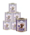 Hundefutter Nassfutter Senior getreidefrei Rind Lamm versch. Größen Dose, Dehner