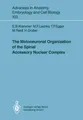 The Motoneuronal Organization of the Spinal Accessory Nuclear Complex Eva B. Kra