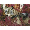 Diamond Dotz Diamond Painting Wolf (B08VW5152T)