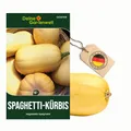Spaghetti-Kürbis Vegetable Spaghetti Samen - Cucurbita pepo - Spaghettikürbis-Samen - Gemüsesamen - Saatgut für 5 Pflanzen