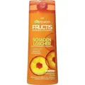 Fructis Shampoo Schaden Löscher 250ml