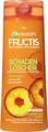 Fructis Shampoo Schaden Löscher 250ml