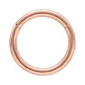 Wildcat Piercingringe - Hinged Ring aus Titan Grad 23, Körperstelle: Ohr, Lippe, Nase, Bauchnabel, Stärke: 1,2mm| Durchmesser: 10,0mm, Roségold