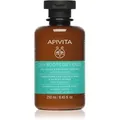 Apivita Oily Roots & Dry Ends Shampoo Shampoo für fettige Haare und trockene Haarspitzen 250 ml