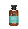 APIVITA Holistic Hair Care Oily Roots & Dry Ends Shampoo mit Brennnessel & Pr...