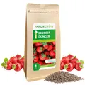 Purgrün® Bio-Erdbeerdünger 1 kg – Organisch-mineralische Rezeptur – Feinkörniges Krümelgranulat – NPK 6+3+8 – Mit Magnesium für saftige, süße Erdbeeren – Verbessert die Bodenqualität