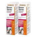 Nasenspray ratiopharm Panthenol 2x20 ml