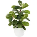 Briful Künstliche Zimmerpflanze Kamelie Kunstpflanze Camellia Japonica im Kunststofftopf Dekorative Seidenblumen Kamelie Kunstblumen für Home Hotel Dekoration