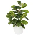 Künstliche Kamelie Kunstpflanze 28cm Seidenblumen Zimmerdeko Topf